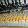 Accordéon Akkordeon Dino Baffetti