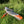Kayak Itiwit X500 Dropstitch