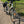 Vélo électrique E-Bike