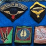 LOT INSIGNES ÉCUSSONS MILITAIRE