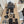 Superbe DJI Mavic 3 Pro Fly More Combo