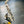 Saxophone alto Selmer Mark VI 1964 N°112568
