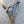 Etui pistolet allemand P08 LUGER WW2